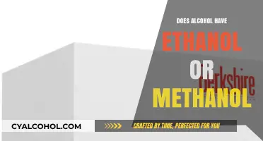 Ethanol vs Methanol: Understanding Alcohol's Composition and Safety