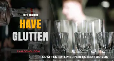Does Alcohol Contain Gluten? A Guide to Gluten-Free Drinking
