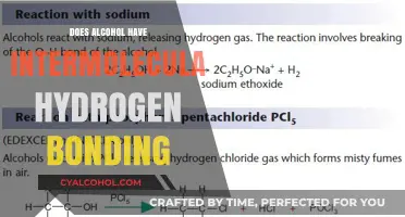 Exploring Alcohol's Intermolecular Hydrogen Bonding: Facts and Insights
