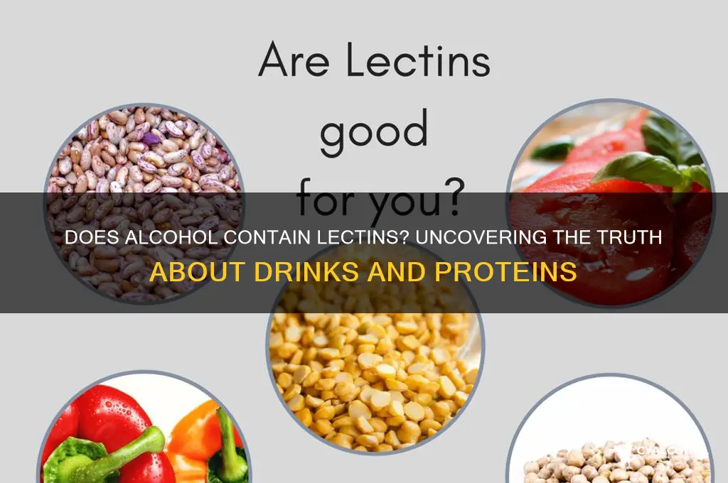 does alcohol have lectins