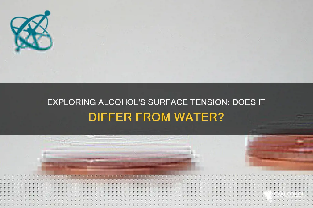 does alcohol have less surface tension