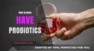 Alcohol and Probiotics: Unraveling the Truth About Gut Health Benefits