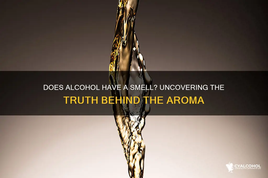 does alcohol have smell