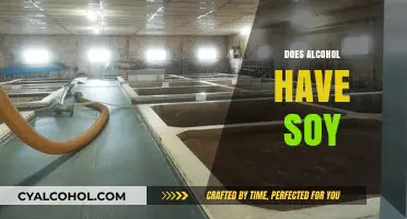Does Alcohol Contain Soy? Uncovering Hidden Ingredients in Your Drinks