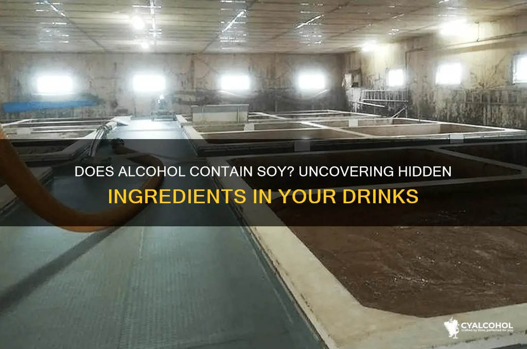 does alcohol have soy