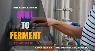Does Alcohol Need Stillness to Ferment? Unraveling the Myth