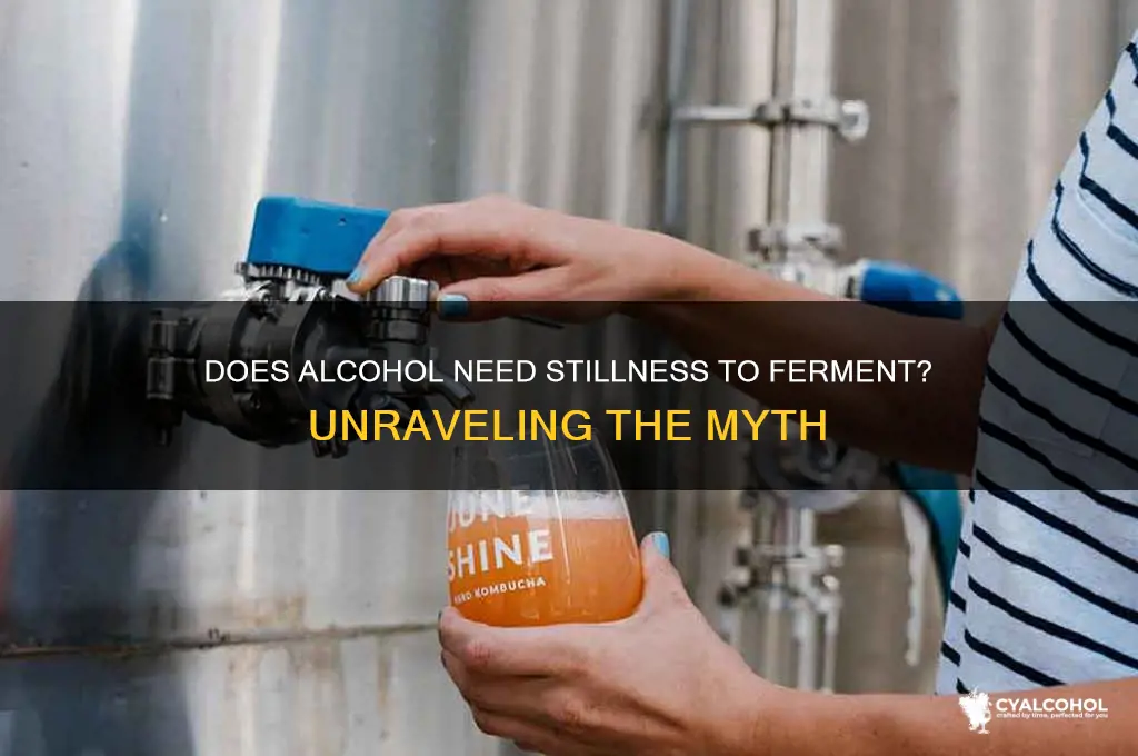does alcohol have to be still to ferment