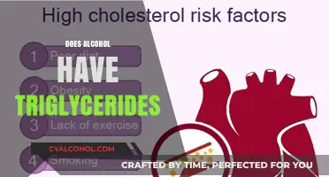 Does Alcohol Increase Triglycerides? Understanding the Link and Risks