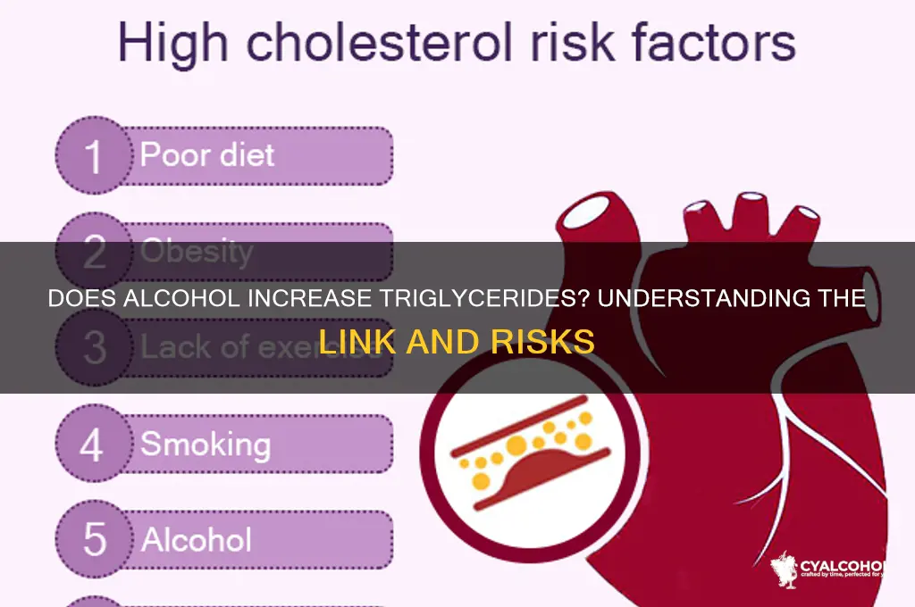 does alcohol have triglycerides
