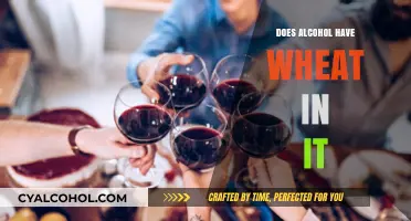 Does Alcohol Contain Wheat? A Guide for Gluten-Sensitive Drinkers