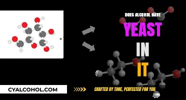 Does Alcohol Contain Yeast? Unveiling the Fermentation Process