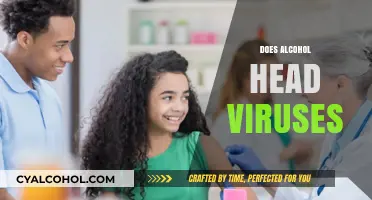 Alcohol and Viruses: Unraveling the Impact on Your Health