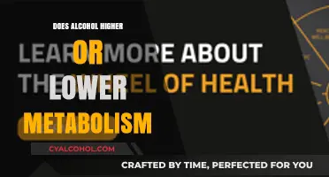 Alcohol's Impact: Does It Boost or Slow Down Your Metabolism?