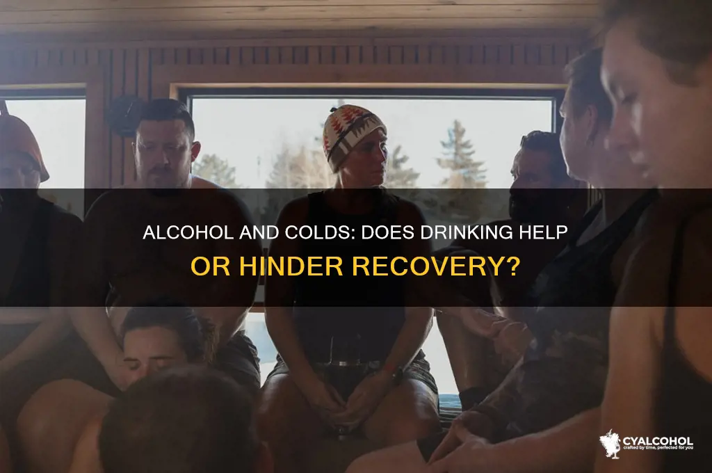 does alcohol hindeer colds