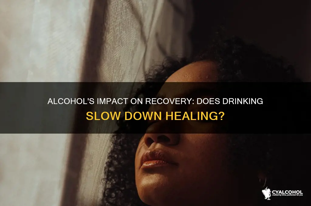 does alcohol hinder healing