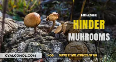 Alcohol and Mushrooms: Unraveling the Impact on Their Growth and Effects