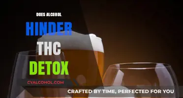 Exploring the Effects of Alcohol on THC Detoxification