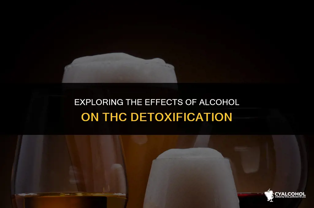 does alcohol hinder thc detox