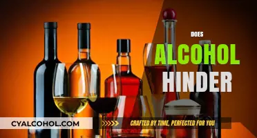 Does Alcohol Hinder Your Health, Productivity, and Long-Term Goals?