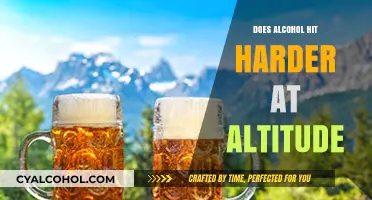 Altitude and Alcohol: Why Drinks Hit Harder in the Mountains