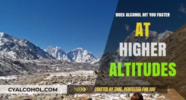 Altitude and Alcohol: Why Drinks Hit Harder at Higher Elevations