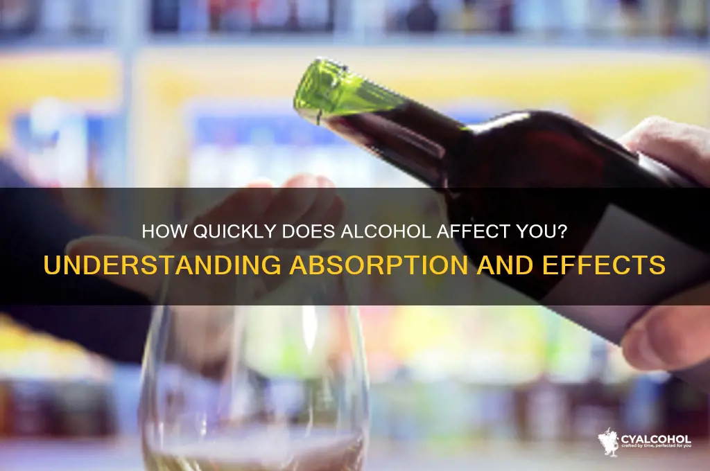 does alcohol hit you right away