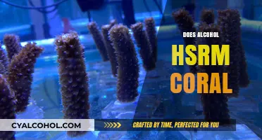 Alcohol's Impact on Coral Reefs: Harmful Effects and Conservation Concerns