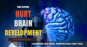 The Impact of Alcohol on Brain Development: A Comprehensive Look
