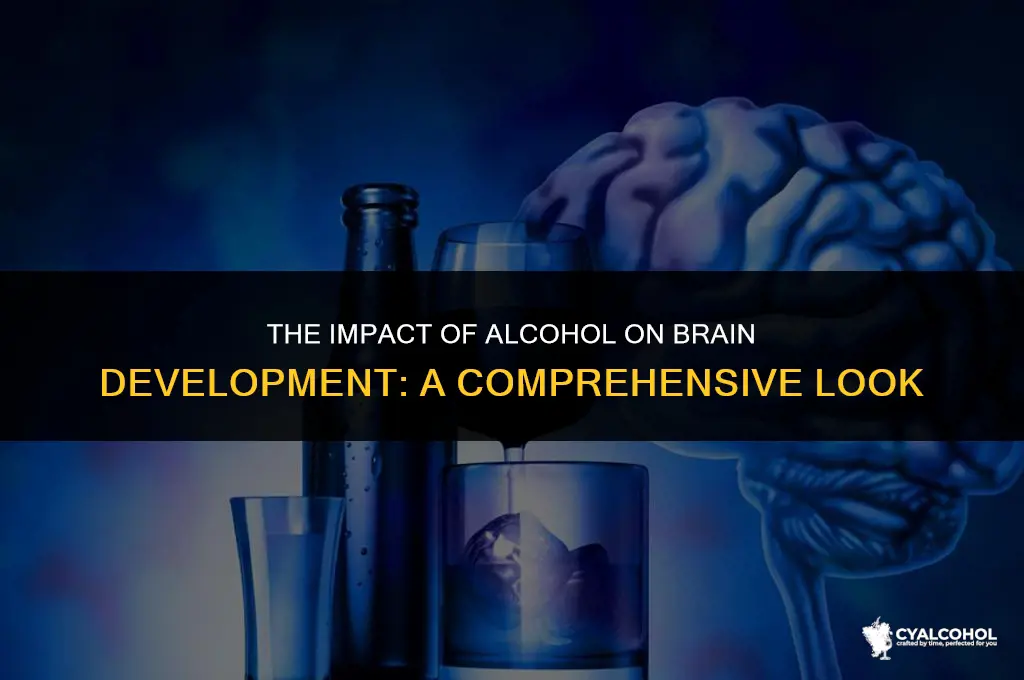 does alcohol hurt brain development