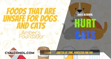 Can Cats Safely Consume Alcohol? Risks and Dangers Explained