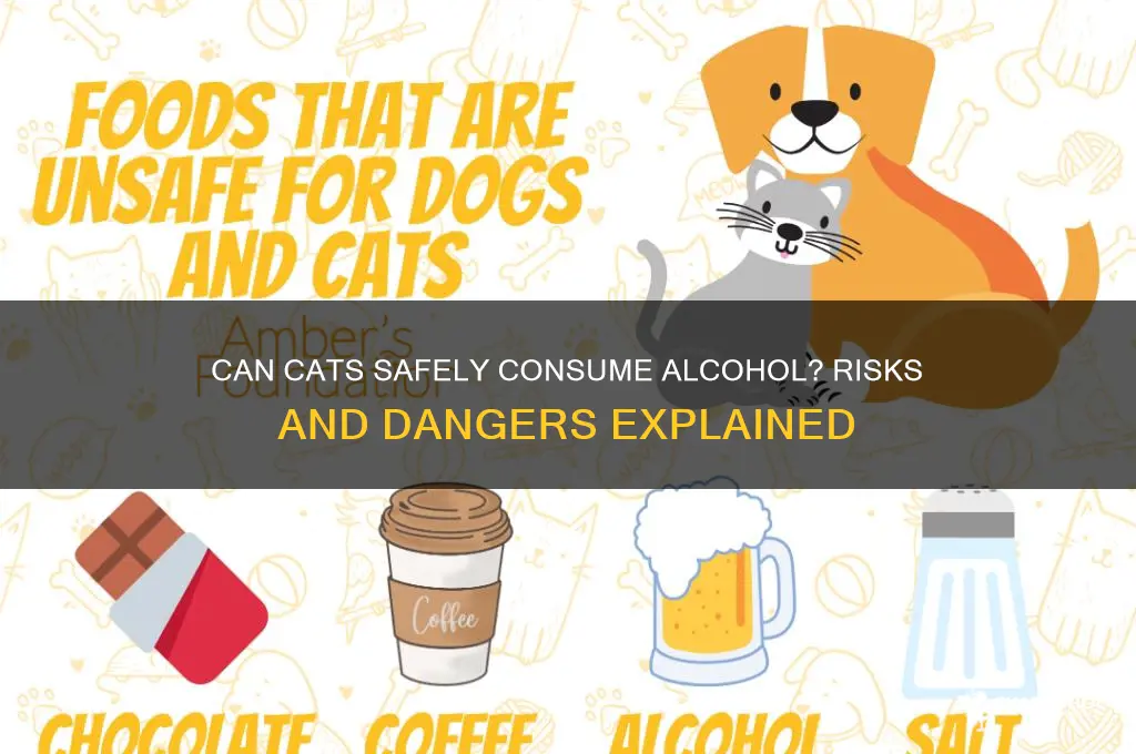 does alcohol hurt cats