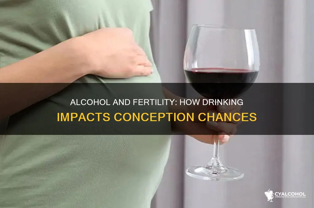 does alcohol hurt conception