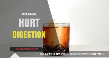 Alcohol and Digestion: Uncovering the Impact on Your Gut Health