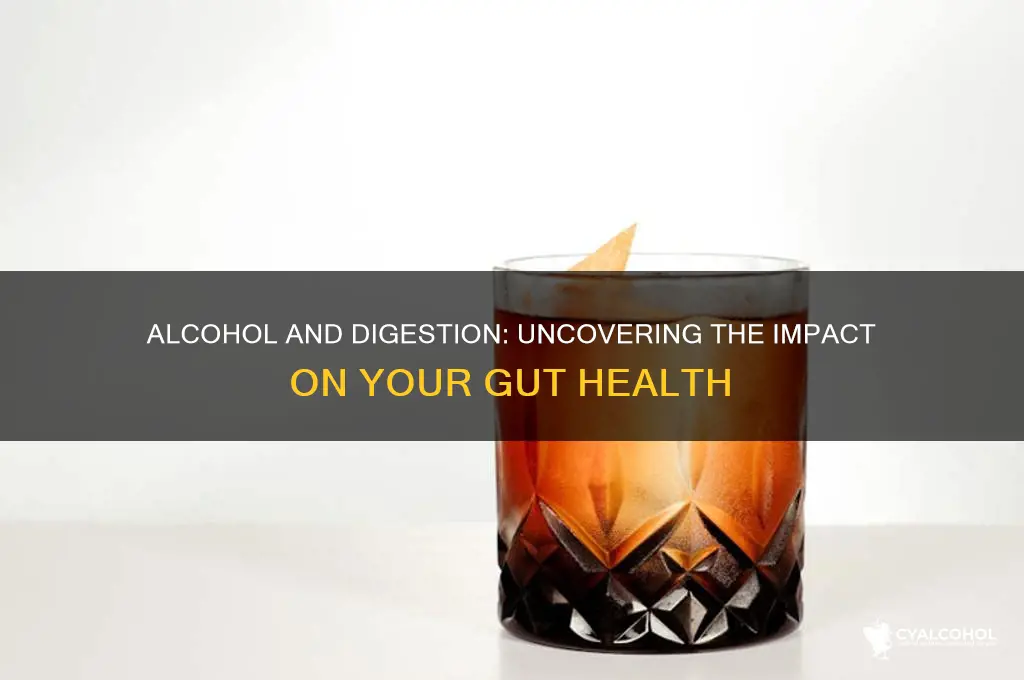 does alcohol hurt digestion