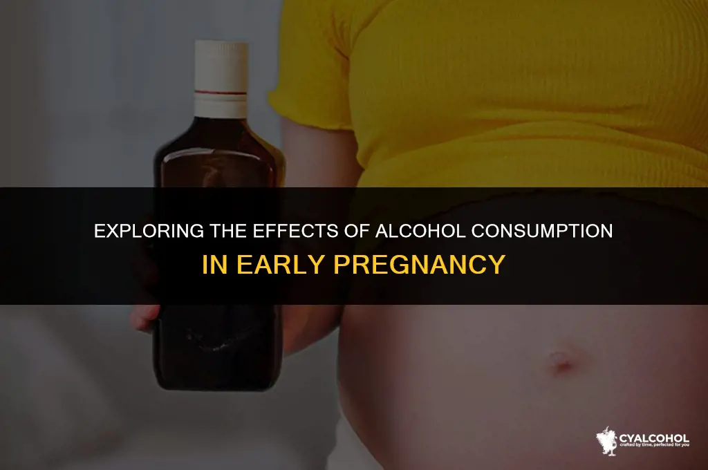 does alcohol hurt early pregnancy