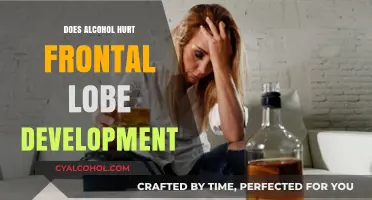 Alcohol's Impact on Frontal Lobe Development: Risks and Consequences