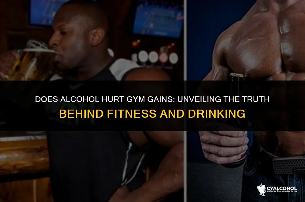 does alcohol hurt gym gains