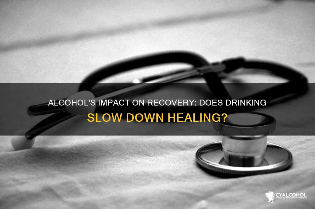 does alcohol hurt healing