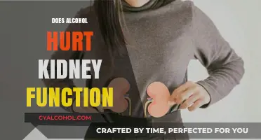 Exploring the Effects of Alcohol on Kidney Health: What You Need to Know