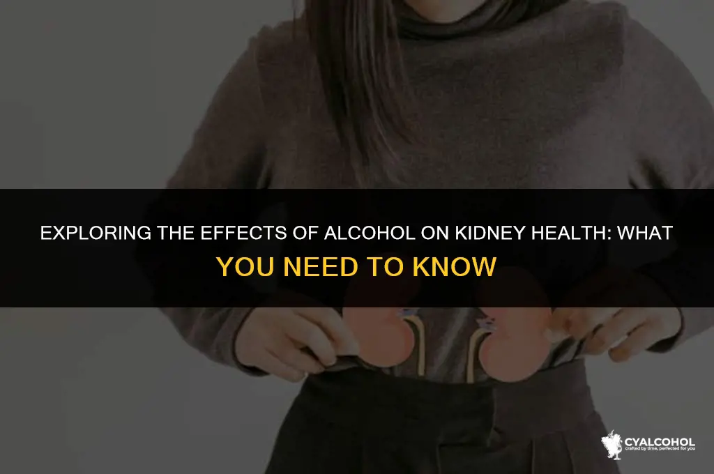 does alcohol hurt kidney function