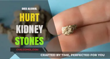 The Impact of Alcohol on Kidney Stones: What You Need to Know