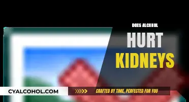 Alcohol and Kidney Health: Uncovering the Risks and Impacts