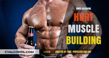 Does Alcohol Hurt Muscle Building: The Truth Behind Fitness and Drinking
