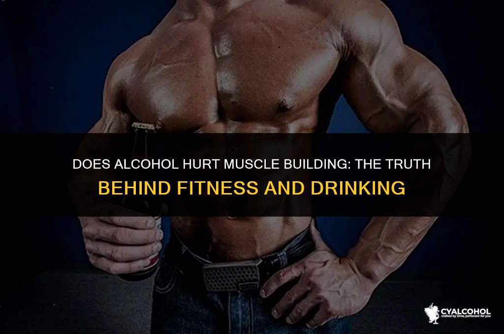 does alcohol hurt muscle building