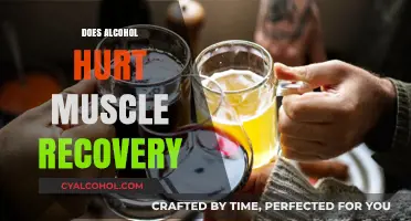 Does Alcohol Hurt Muscle Recovery: Facts You Need to Know