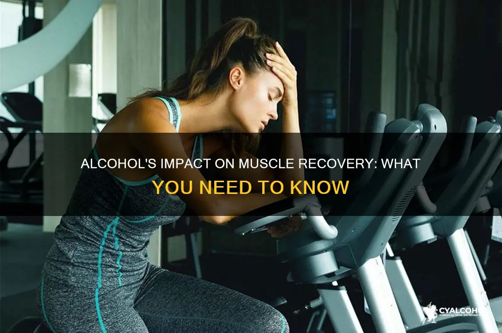 does alcohol hurt muscles