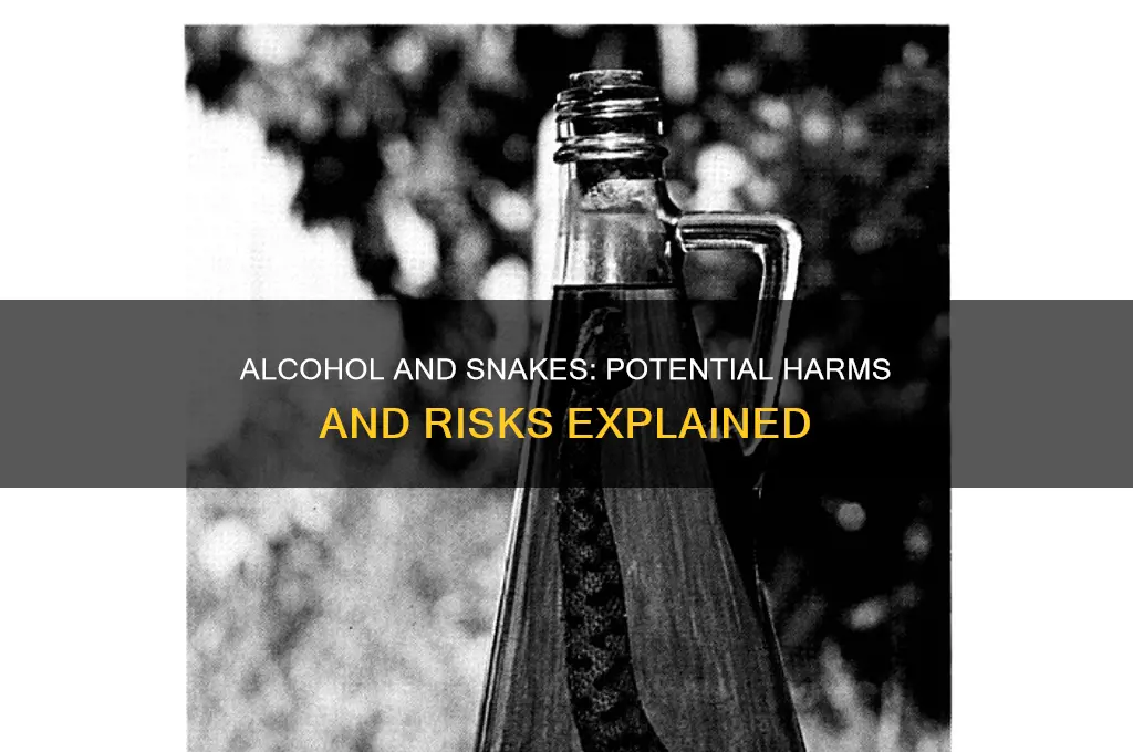 does alcohol hurt snakes