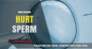 Alcohol's Impact on Male Fertility: Does Drinking Harm Sperm Health?