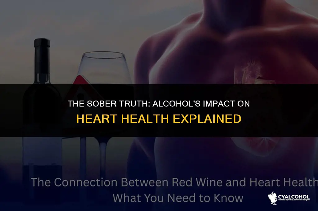 does alcohol hurt the heart