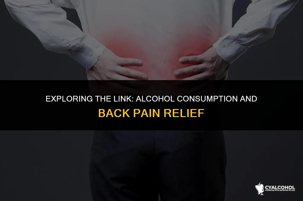 does alcohol hurt with backaches